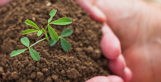 Fertilizer Import Turkey